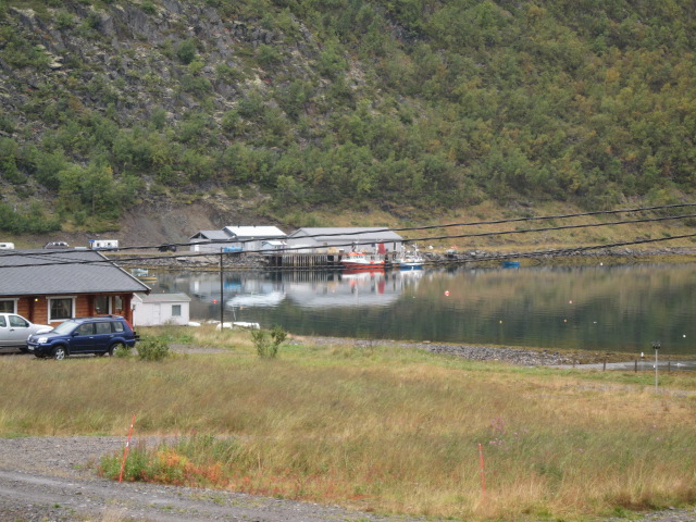 Sjursjok 8